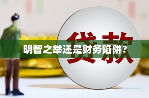 南湖明智之举还是财务陷阱？