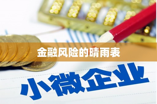岑巩金融风险的晴雨表