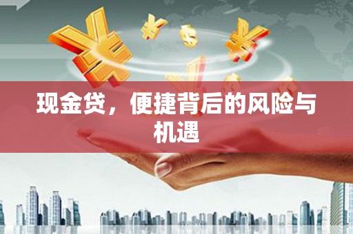 岷县现金贷，便捷背后的风险与机遇