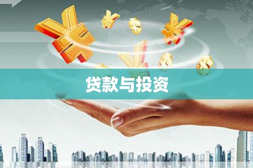 新野贷款与投资