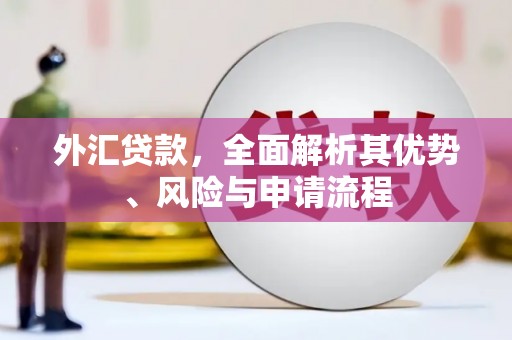 南陵外汇贷款，全面解析其优势、风险与申请流程