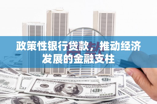 疏附政策性银行贷款，推动经济发展的金融支柱