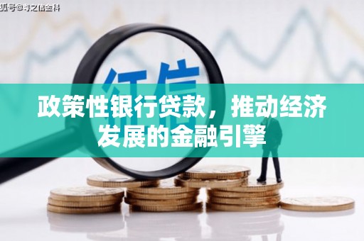 双桥政策性银行贷款，推动经济发展的金融引擎