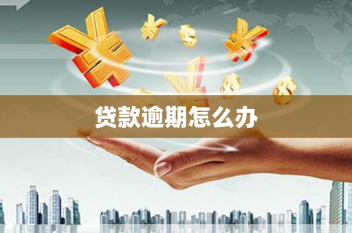 武汉贷款逾期怎么办
