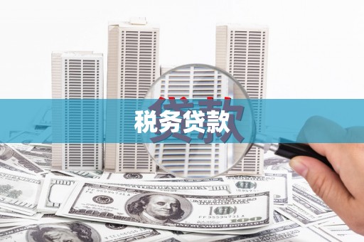 张北税务贷款