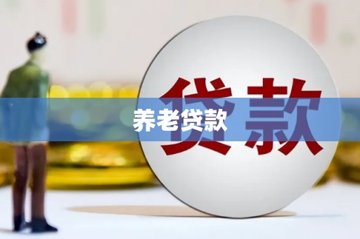 灌阳养老贷款
