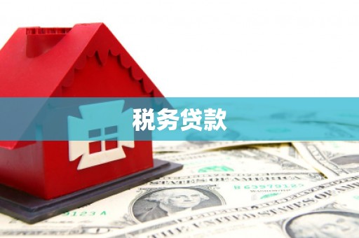 长洲税务贷款