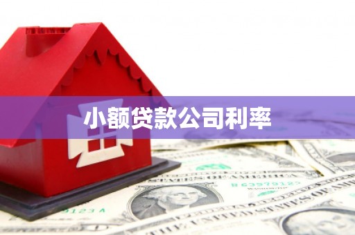 岢岚小额贷款公司利率
