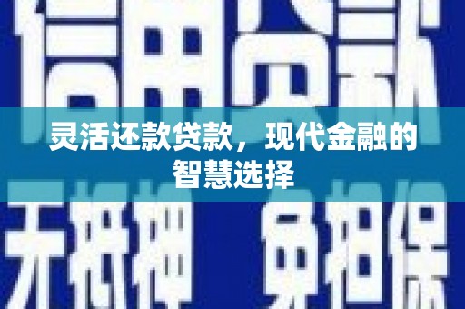浦江灵活还款贷款，现代金融的智慧选择
