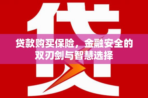 盐源贷款购买保险，金融安全的双刃剑与智慧选择
