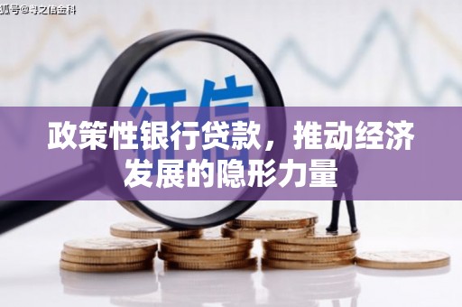 元谋政策性银行贷款，推动经济发展的隐形力量