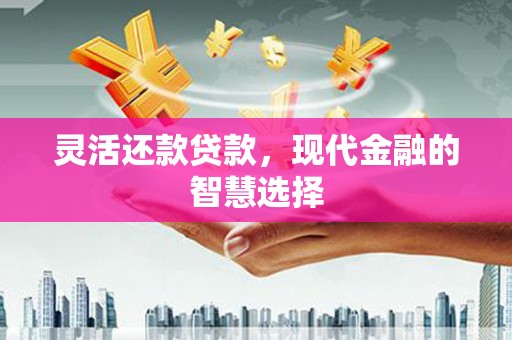 西林灵活还款贷款，现代金融的智慧选择