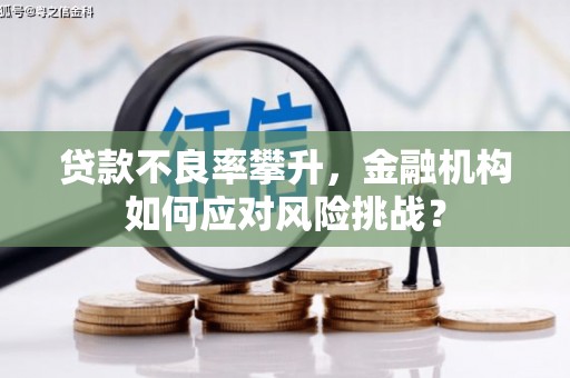 定安贷款不良率攀升，金融机构如何应对风险挑战？