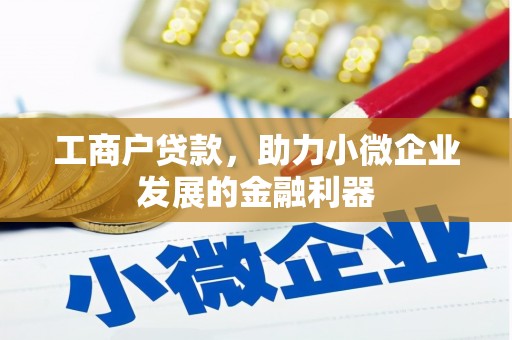 务川工商户贷款，助力小微企业发展的金融利器