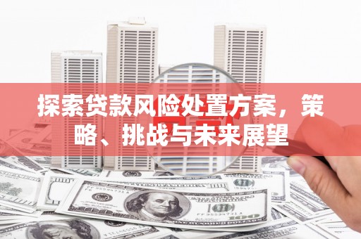 学甲探索贷款风险处置方案，策略、挑战与未来展望