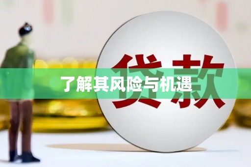 平陆了解其风险与机遇