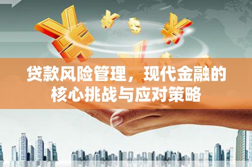 青阳贷款风险管理，现代金融的核心挑战与应对策略