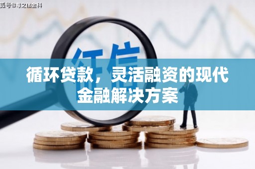额济纳旗循环贷款，灵活融资的现代金融解决方案