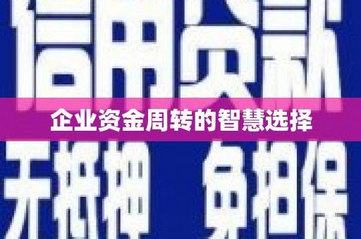 甘肃企业资金周转的智慧选择
