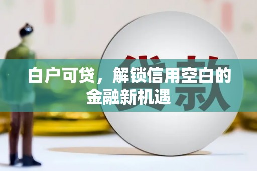 山东白户可贷，解锁信用空白的金融新机遇