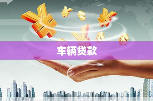 安陆车辆贷款