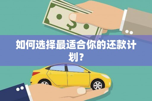 盐田如何选择最适合你的还款计划？