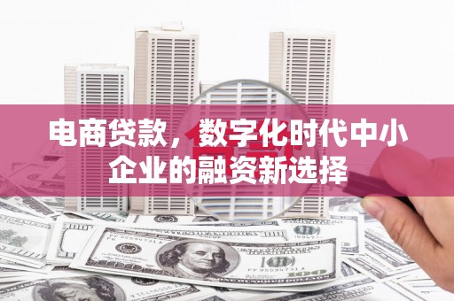 九龙城电商贷款，数字化时代中小企业的融资新选择