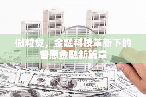 巍山微粒贷，金融科技革新下的普惠金融新篇章