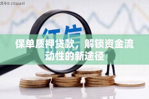 普格保单质押贷款，解锁资金流动性的新途径