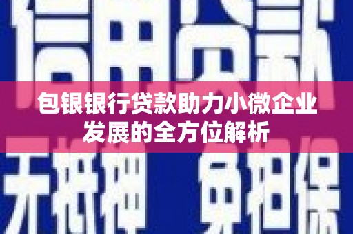 阳东包银银行贷款助力小微企业发展的全方位解析