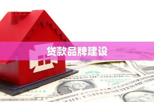 维西贷款品牌建设