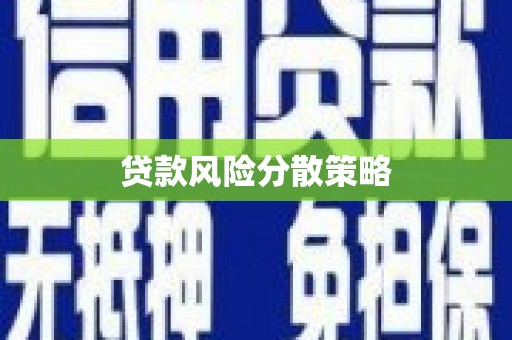 西吉贷款风险分散策略