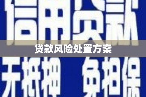 赵县贷款风险处置方案