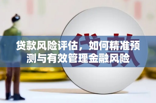 睢阳贷款风险评估，如何精准预测与有效管理金融风险