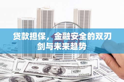 平度贷款担保，金融安全的双刃剑与未来趋势