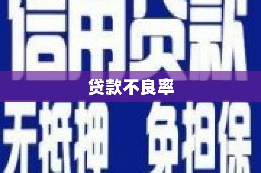 武胜贷款不良率