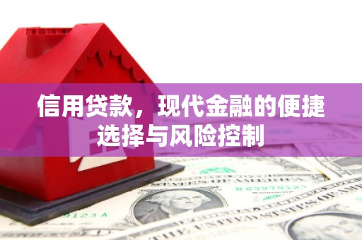 龙崎信用贷款，现代金融的便捷选择与风险控制