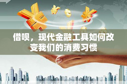 特克斯借呗，现代金融工具如何改变我们的消费习惯