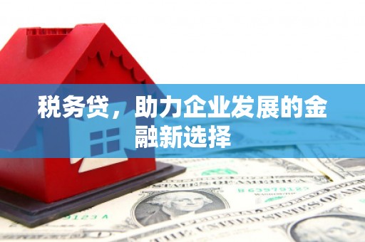 芦洲税务贷，助力企业发展的金融新选择