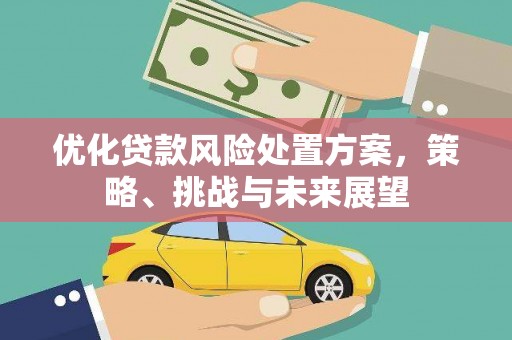 枋山优化贷款风险处置方案，策略、挑战与未来展望