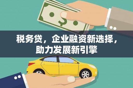 沙依巴克税务贷，企业融资新选择，助力发展新引擎