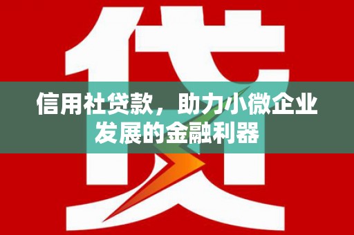 文安信用社贷款，助力小微企业发展的金融利器