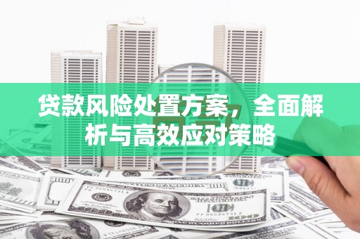 五桂山贷款风险处置方案，全面解析与高效应对策略