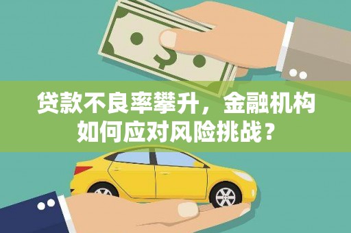 凤林贷款不良率攀升，金融机构如何应对风险挑战？