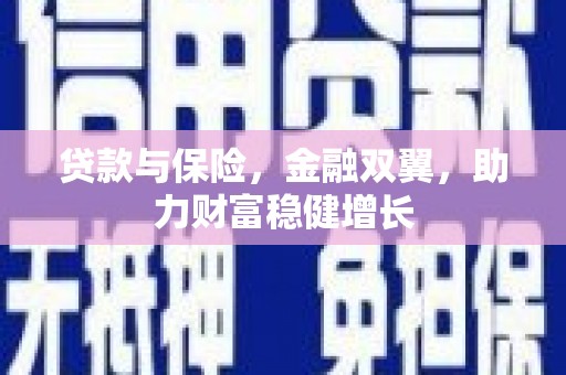 东乡贷款与保险，金融双翼，助力财富稳健增长