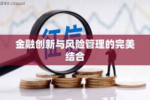 甘南金融创新与风险管理的完美结合