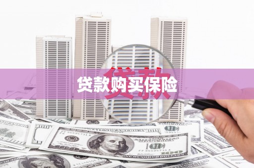 武侯贷款购买保险