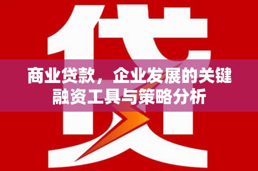天津商业贷款，企业发展的关键融资工具与策略分析