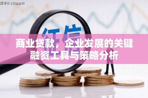 布袋商业贷款，企业发展的关键融资工具与策略分析