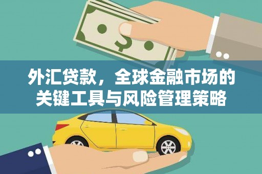崖州外汇贷款，全球金融市场的关键工具与风险管理策略